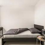 Levlante 坎法奈尔